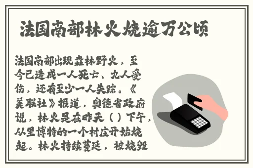 金银瓶1-3三免片